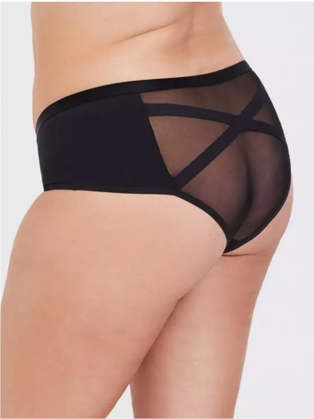 Torrid Tara Lynn Microfiber & Mesh Cheeky Panty plus size 2